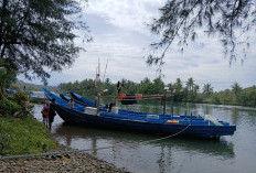 Mimpi Pelabuhan Bengkulu Selatan Hadapi Jalan Terjal, Kedalaman Laut Jadi Kendala Utama