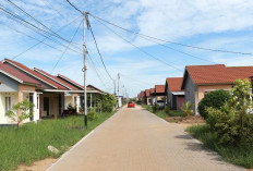 Perbandingan Perumahan Subsidi dan Rumah Komersil: Mana yang Lebih Menguntungkan?