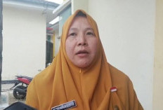 Pemprov Bengkulu Terima Bantuan 1 Juta Bibit Kopi Robusta, Kabupaten Kaur Terima Segini!