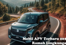 Elok dan Ramah Lingkungan, Inilah Mobil APV Terbaru