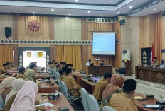 Rapat Pembahasan Honorer Pemprov Bengkulu Berlanjut! Apa Hasilnya? 