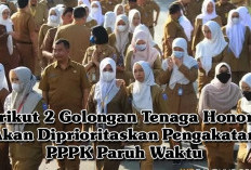 Simak Baik-Baik, Berikut 2 Golongan Tenaga Honorer Akan Diprioritaskan Pengakatan PPPK Paruh Waktu