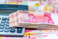 Peluang UMKM Pinjaman Rp 50 Juta KUR Bank Bengkulu, Cek Cicilan dan Cara Cepat Cairnya! 