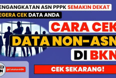 Untuk Pengangkatan PPPK Tahun 2024, Inilah Cara Cek Data Non ASN di BKN