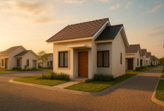 Seperti Apa Desain Rumah Subsidi yang Paling Bagus? Cek Rekomendasi yang Unik Ini