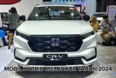 Mau Tau? Ini Sederet Mobil Hybrid yang Meluncur Sepanjang Tahun 2024