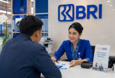 KUR BRI Ditolak, Jangan Panik, Ini Penyebab dan Strategi Agar Pengajuan Berikutnya Cair