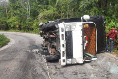 BREAKING NEWS! Truk Terbalik Menutup Seperdua Jalan Lintas di Kaur