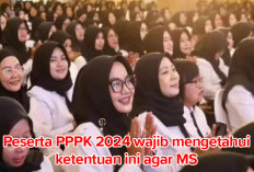 Pendaftaran 3 Hari Lagi! Peserta PPPK  2024 Harus Mengetahui Kentuan Agar MS  