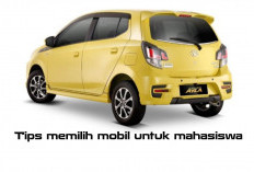 Libur Segera Berakhir! Tips Memilih Mobil untuk Mahasiswa Antar Kota