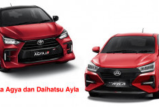 Toyota Agya dan Daihatsu Ayla Sering Dianggap   Kembar, Kok Bisa? Ternyata Ini Perbandingannya!