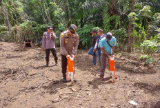 Polri, TNI dan Masyarakat Tanam Jagung, Pemanfaatan Lahan Produktif 