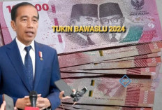 Presiden Jokowi Tetapkan Tukin PNS Bawaslu, Segini Besaran yang Akan Diterima, Tertinggi Rp 29 Juta