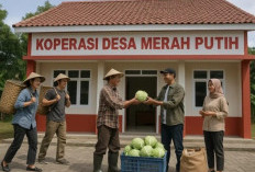 Koperasi Merah Putih, Program Strategis Pemerintah untuk   Ketahanan Pangan dan Kesejahteraan Masyarakat