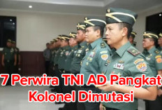 Daftar 7 Perwira TNI AD Pangkat Kolonel Duduki Jabatan Baru, 2 Jadi Danrem, Ini Daftarnya