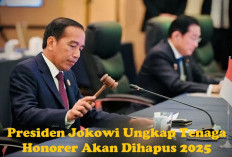 Tenaga Honorer Akan Dihapus Desember 2024, Telah Disampaikan Presiden Jokowi, Ini Ketentuannya