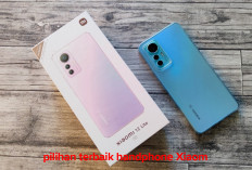 5 Pilihan Handphone Xiaomi Harga Terjangkau dan Mewah, Alternatif dari lini 17 Pro Max! 