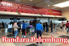 Orang Bengkulu Wajib Tahu! Ini Spesifikasi Bandara Enggano dan Bandara Mukomuko