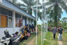 KPPS di Bengkulu Selatan Minim Peminat, Banyak TPS Kurang Pendaftar