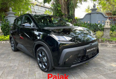 Ini Perbedaan Besaran Pajak BYD Atto 1, Daihatsu Ayla, Honda Brio Satya dan Toyota Agya!