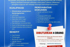 Info Lowongan Pekerjaan  Collector di Master Cash dan Credit Bengkulu, Khusus Laki-laki