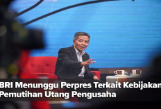 BRI Menunggu Perpres Terkait Kebijakan Pemutihan Utang Pengusaha