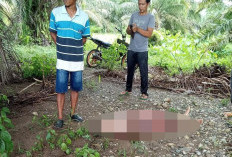 BREAKING NEWS! Nenek 75 Tahun Hanyut di Sungai Kedurang, Ditemukan MD