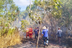 Karhutla Hanguskan 1 Hektare Lahan di Tanjung Besar, Kerugian Ditaksir Rp 10 Juta