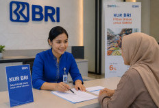 Banyak Ditolak? Ini Kesalahan yang Bikin Pengajuan KUR BRI Gagal dan Cara Menghindarinya