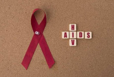 Kasus HIV/Aids yang Terbanyak di Bengkulu, Rejang Lebong Mengkhawatirkan