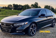 Menilai Karakter Seseorang dari Tipe Mobil Digunakannya, Kamu Masuk yang Mana Nih!