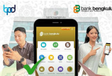 KUR Bank Bengkulu Sudah Cair Rp11 Miliar: Cek Panduan Pengajuan untuk UMKM 