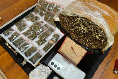 Kurang 12 Jam, Tim BADAI Satresnarkoba Bengkulu Selatan Ringkus 3 Tersangka Kasus Narkotika 