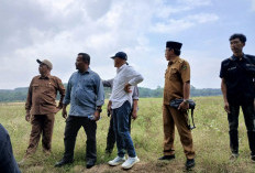 Kekurangan Pasokan Air,  95 Hektar Lahan Sawah Bengkulu Selatan Gagal Dikelola