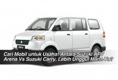 Cari Mobil untuk Usaha! Antara Suzuki APV Arena Vs Suzuki Carry, Lebih Unggul Mana Ya? 