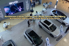 Kendaraan Listrik Tancap Gas, 2025 Tahunya BYD?