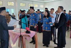 Satu CPNS Pemda Kaur Ditangguhkan Jadi PNS Penuh, Ternyata Ini Penyebabnya