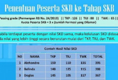 ANTI GAGAL! 4 Tips Agar Lulus Passing Grade SKD CPNS 2024 