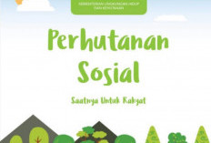 147 Kelompok Masyarakat di Bengkulu Terima Izin Program Perhutanan Sosial