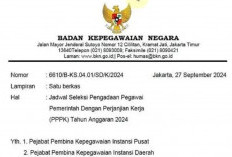 BKN Rilis Surat Terbaru untuk Seleksi PPPK 2024, Notifikasi Bagi Honorer