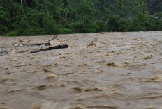 ﻿BREAKING NEWS! Istri Kades Beserta 3 Warga Lainnya Dikabarkan Hanyut Terseret Arus Sungai Kedurang