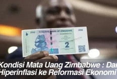 Kondisi Mata Uang Zimbabwe : Dari Hiperinflasi ke Reformasi Ekonomi