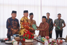 5.000 Al-Qur’an Disebar di Kabupaten Kaur, Sasar Masjid Hingga Sekolah