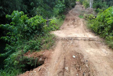 Tanjung Aur Tak Masuk Daftar Proyek APBD 2026, Rencana Pengerasan Jalan Ditunda?
