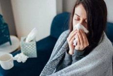6 Penyebab Penyakit Flu, Simak   Sebab dan Cara Mengatasinya