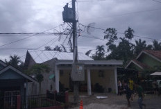 BREAKING NEWS! Diduga Kortsleting, Kabel di Gardu Bakal Makmur Terbakar