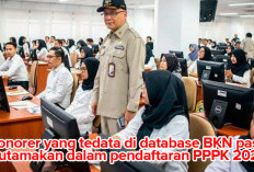 Honorer K2 dan Tenaga Honorer Terdaftar di Database BKN Diutamakan Pendaftaran PPPK 2024