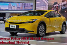 Tertarik Kredit Toyota Prius HEV Mobil dengan Teknologi Hybrid yang Cangih! Ternyata Segini Loh Cicilannya!