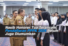 Nasib Honorer Tua Terancam, Pendaftaran PPPK 2024 Belum Juga Diumumkan