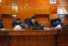 Wujudkan Pembangunan, DPRD Bengkulu Selatan Dukung Pemkab Gencar Lobi Anggaran ke Pusat